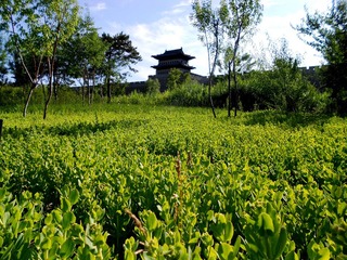 DSCN2714.JPG