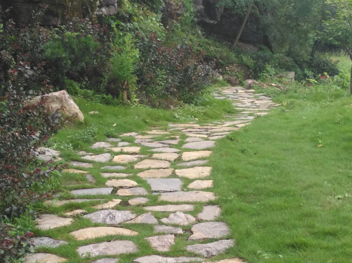 幽深的小径,让人想一探路的尽头.