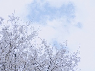 A5F578B5-6971-4876-A8C2-3A64073B34DE/L0/001