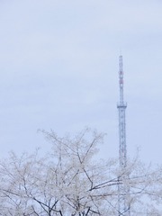 0E4C4ABA-6B55-41B9-91EB-A1CAF301F4E9/L0/001