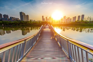 浐河湿地