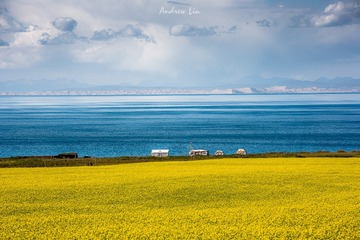 青海有海