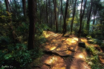 大地筋骨