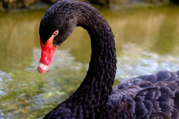 DSCF1121-2