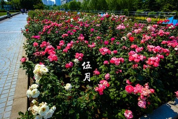 DSCF1521-2_