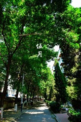 DSCF1528-2_
