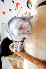 DSCF1568-2