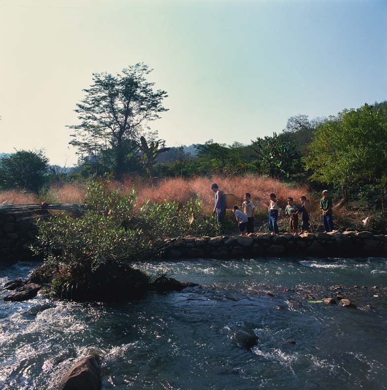 广州从化流溪河林场～北回归线上的绿洲 201011