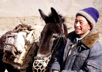 可爱的男青年