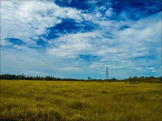 DSCN3166-1_