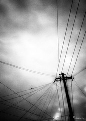 20110111(007)_1