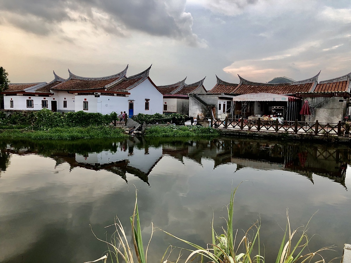 闽南的埭美古村落 - 秦川牛194