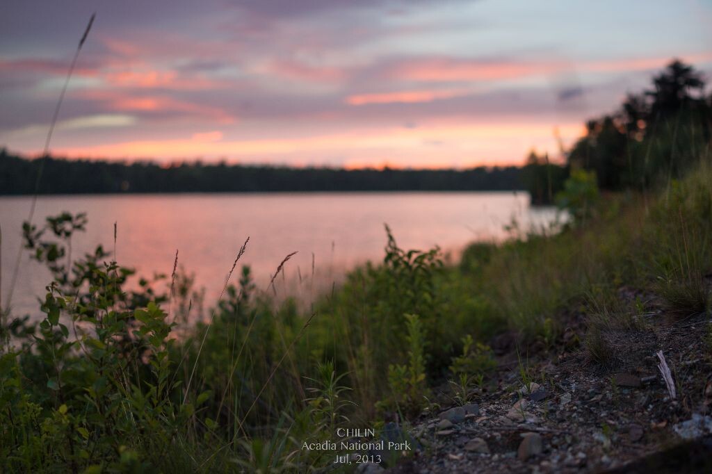 DSC00514-11-12<br />