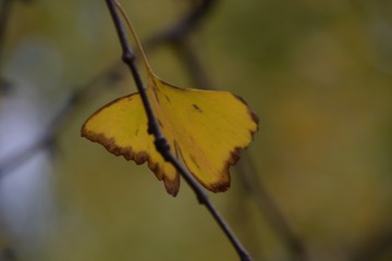 1598188