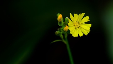 1925186