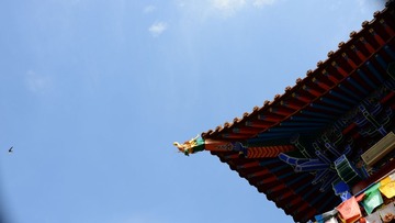 大召2.jpg