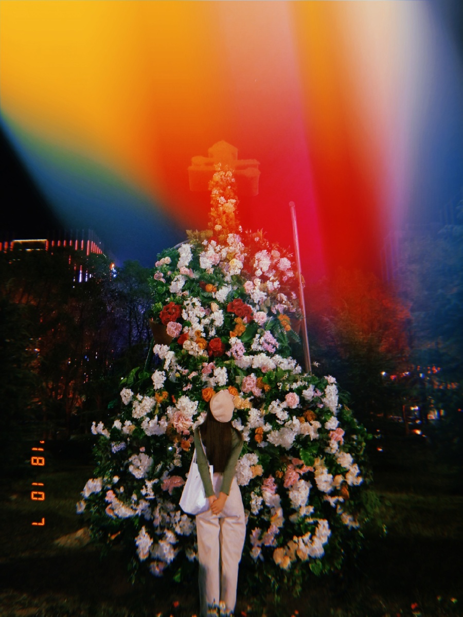 热闹是他们,我什么都没有。