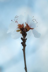 DSCF0530 