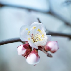 DSCF0541 