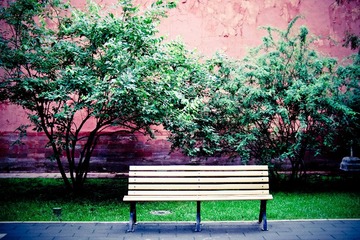 DSCF8894.jpg