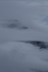 1000024315