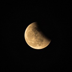 9B34CA45-0C1C-43B0-8C04-08C72565D442/L0/001