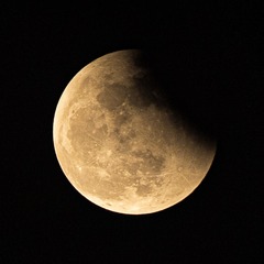 36AB242D-0873-4480-8FBA-D412E9D3EF40/L0/001