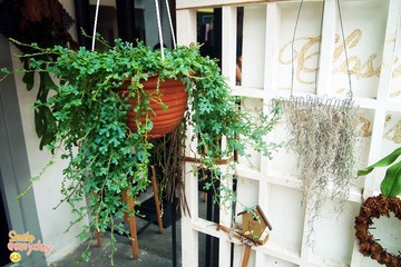 P7270612_副.jpg