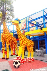 P8081032_副本.jpg