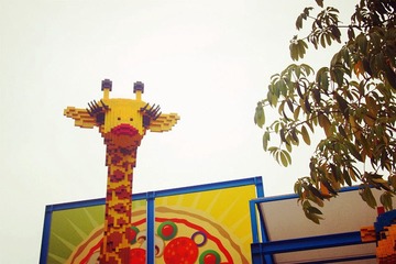 P8081034_副本.jpg