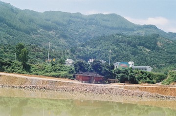 12006
