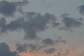 DSC_2004.JPG