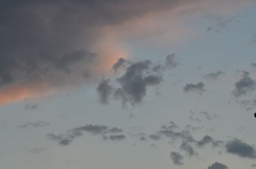 DSC_2005.JPG