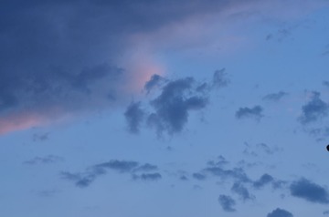 DSC_2014.JPG