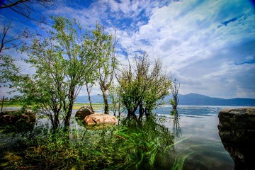 _MG_4171-2