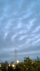 WP_20130522_007
