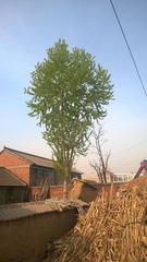 WP_20140407_005