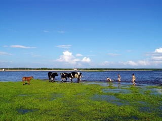 摄于2012年７月呼兰河畔