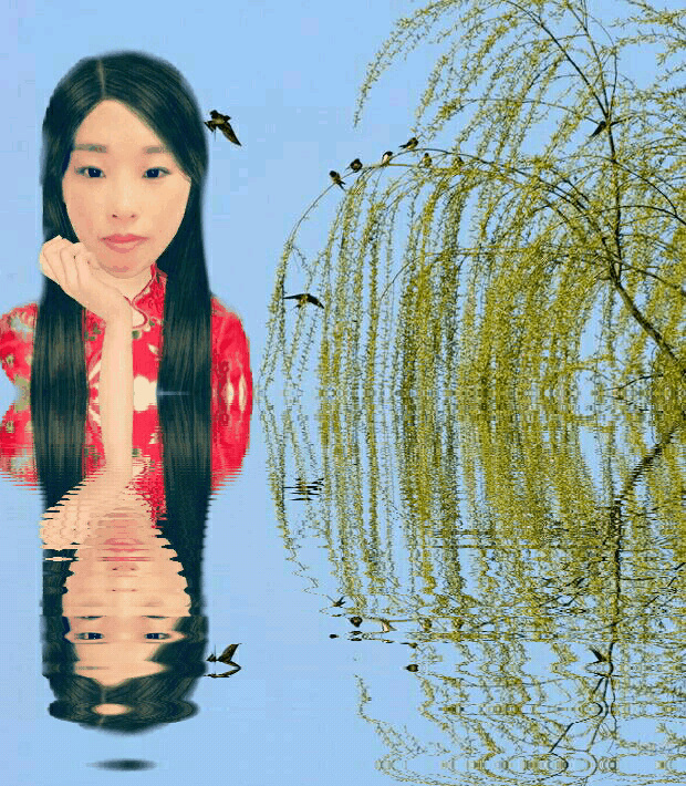 浅夏燕柳美入画 - 风清清 - 图虫网 - 优质摄影师交流社区
