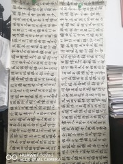 2988216
