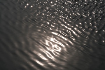 331018CD-F376-4CE1-9298-FA392A93EB54/L0/001