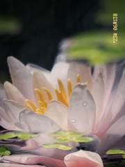 8AF0420A-FED5-42A2-A8CA-23861668A464/L0/001