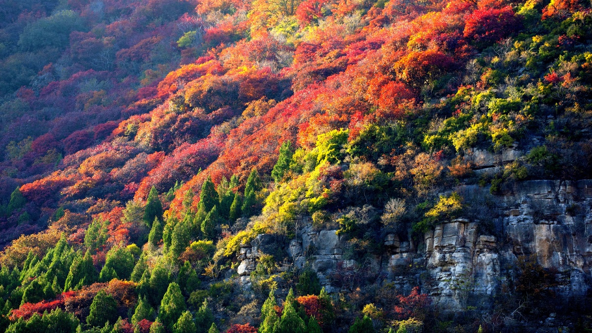 天赐山满山尽染