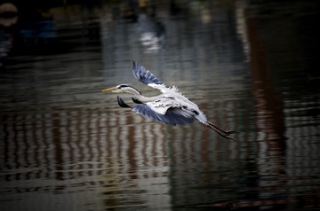 _IMG0297605
