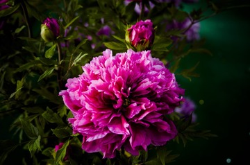 _IMG0029919