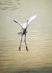 _IMG0037711