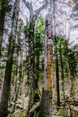 _IMG0250