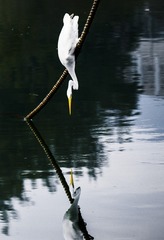 _IMG0028710