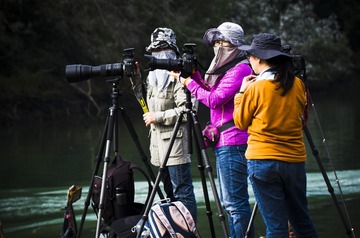 _IMG0113707
