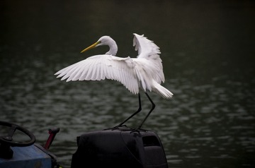 _IMG0146616